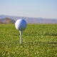PVC packaging is recycled into golf balls