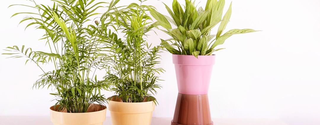 Bioplastics are not the same as biodegradable plastics