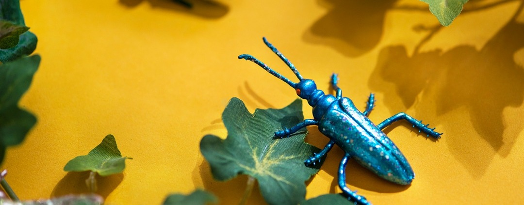 Are bioplastics the next big thing for packaging?