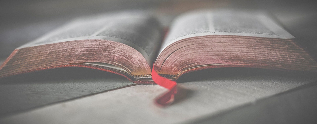 A brief history of the major plastic polymers