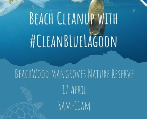 Mangrove cleanup