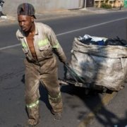 Trolley-waste-picker