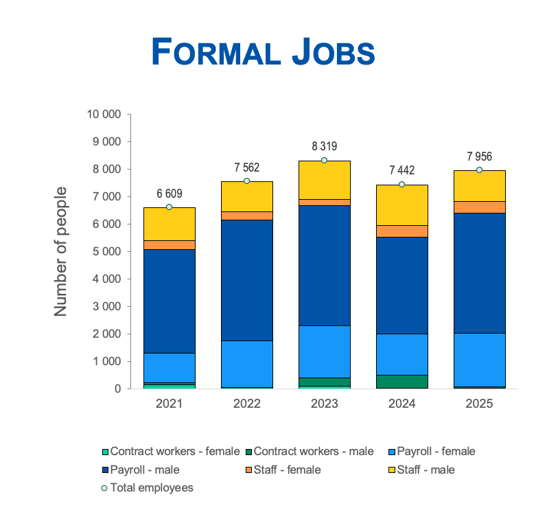 Formal Jobs_2025