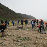 Volunteers cleaning up Cutting Beach in KZN